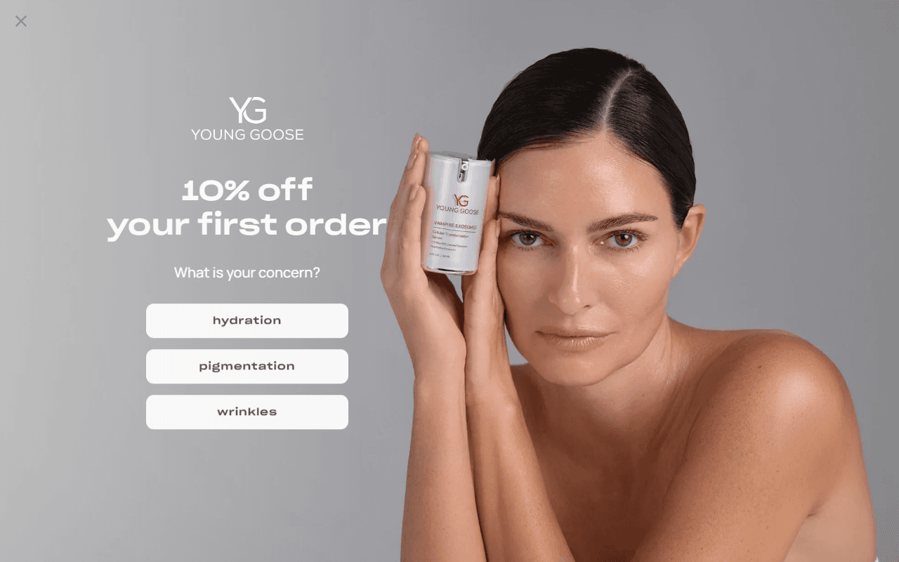 Young Goose sponsor landing page advertised on Boundless Life
