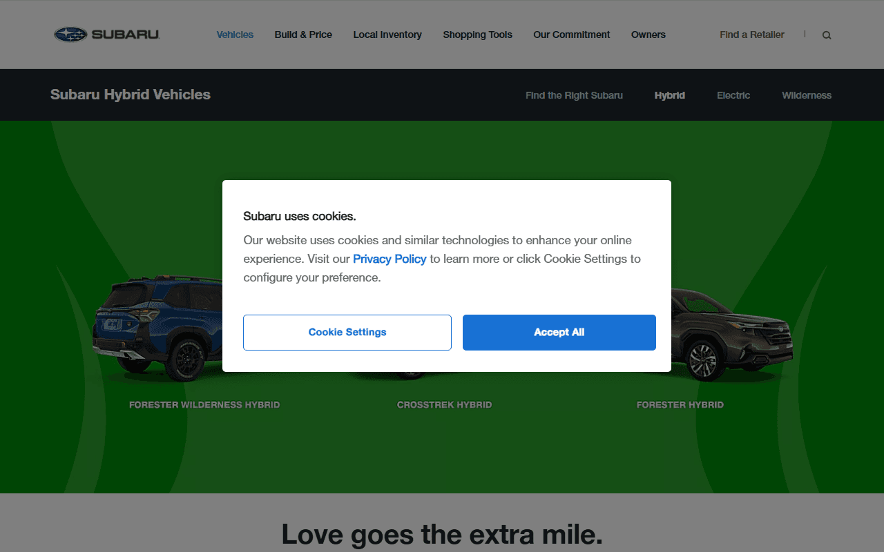 Subaru sponsor landing page advertised on Good Hang with Amy Poehler