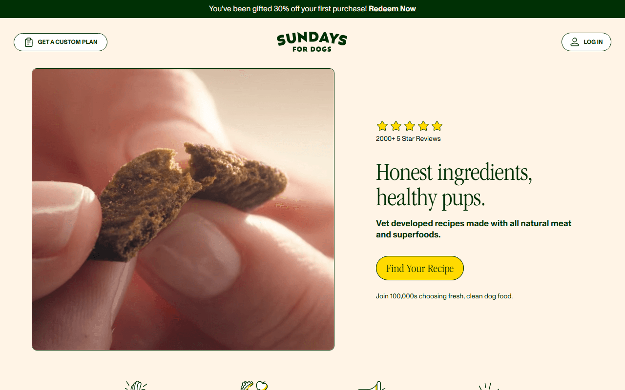 Sundays for Dogs sponsor landing page advertised on The Megyn Kelly Show