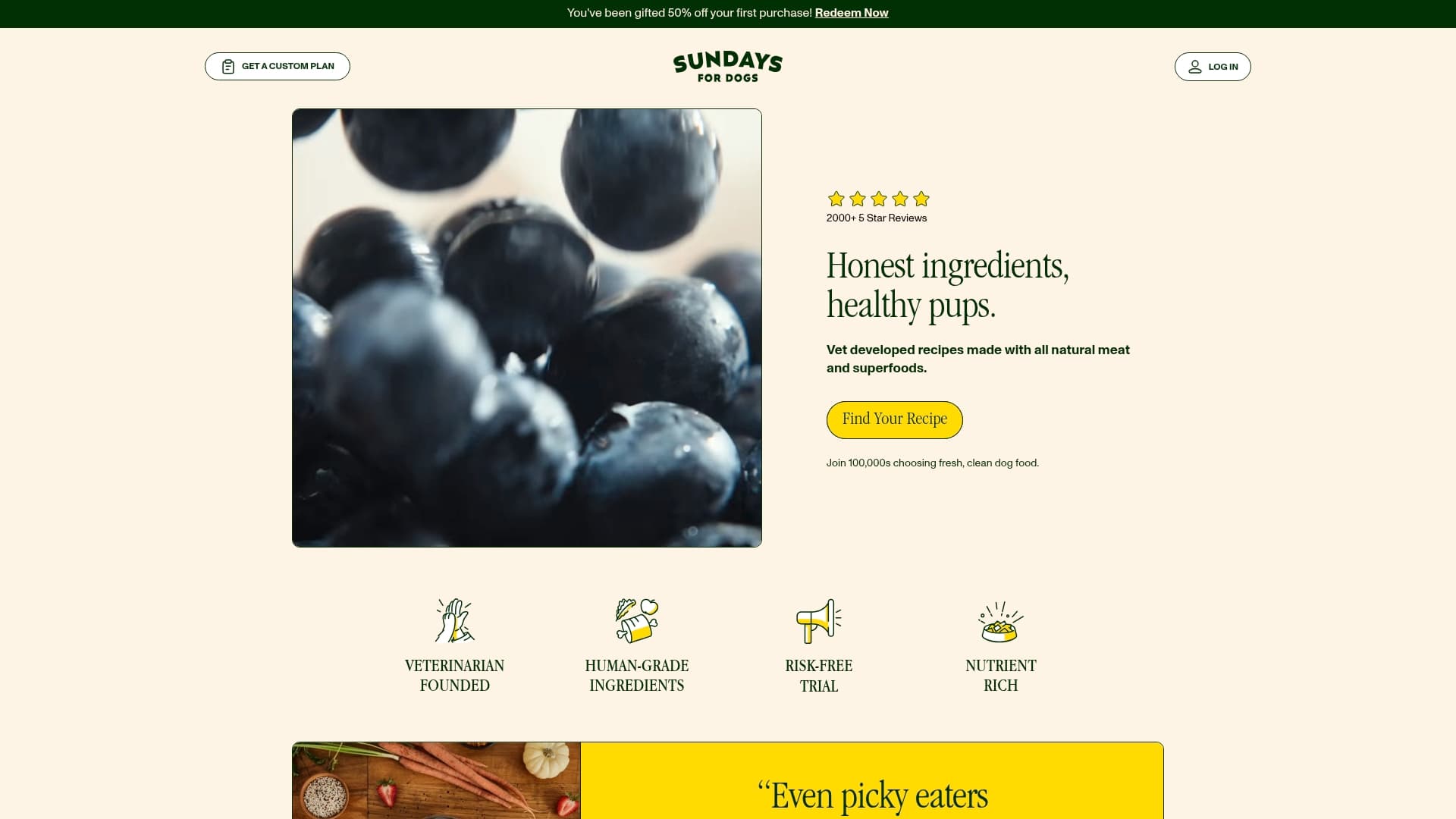 Sundays for Dogs sponsor landing page advertised on Tosh Show