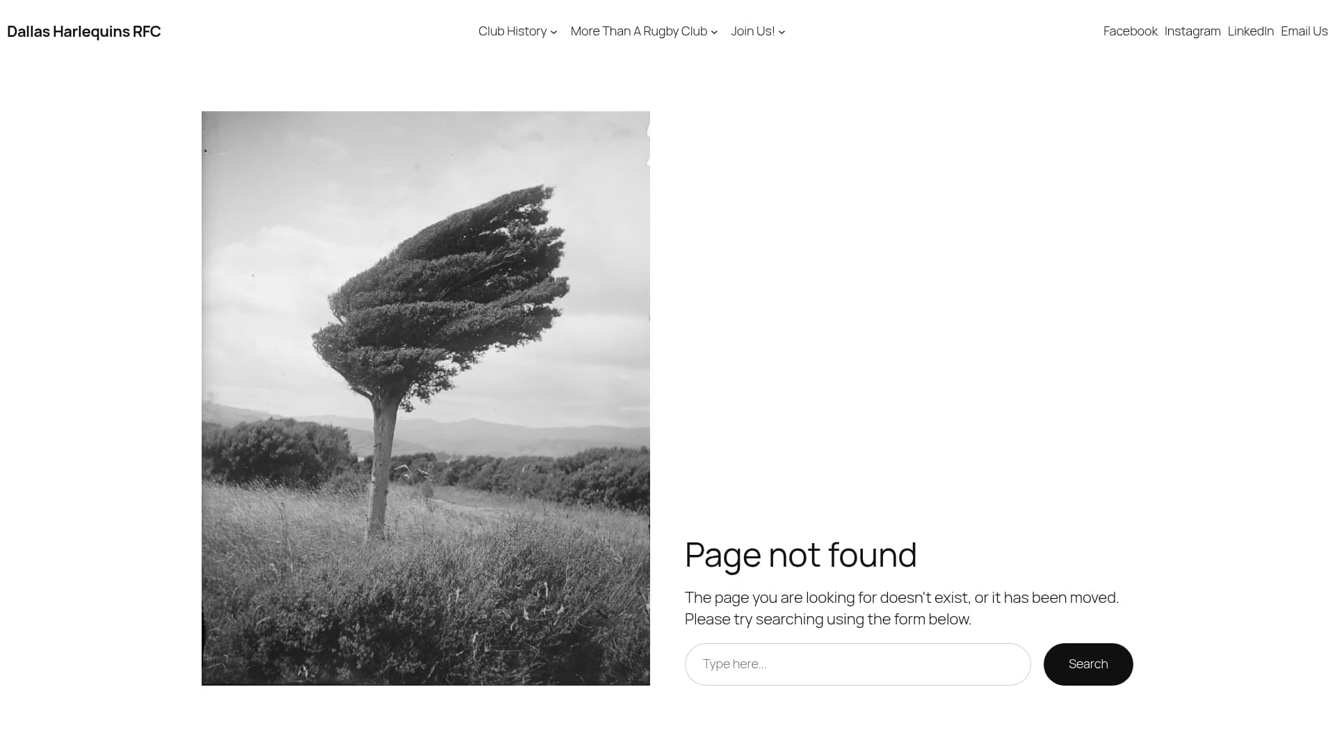 Quince sponsor landing page advertised on Blurry Creatures