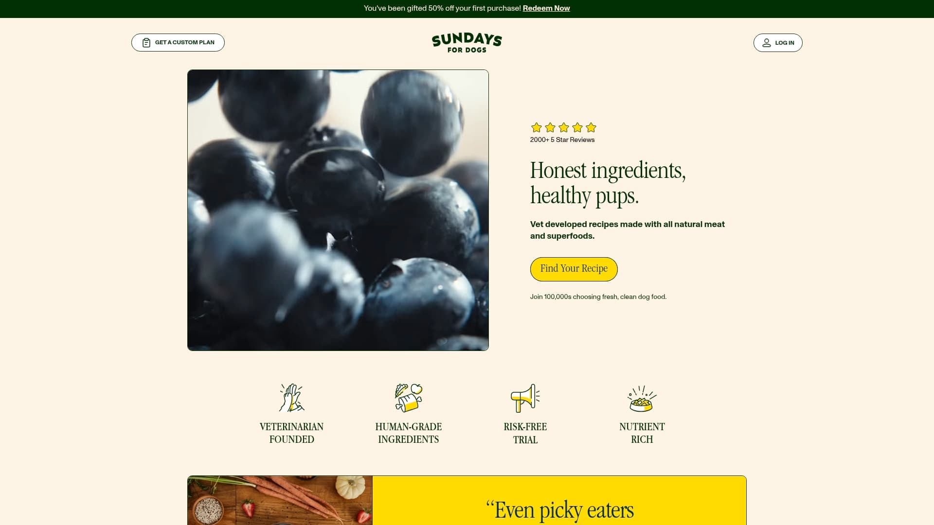 Sundays for Dogs sponsor landing page advertised on The President's Daily Brief
