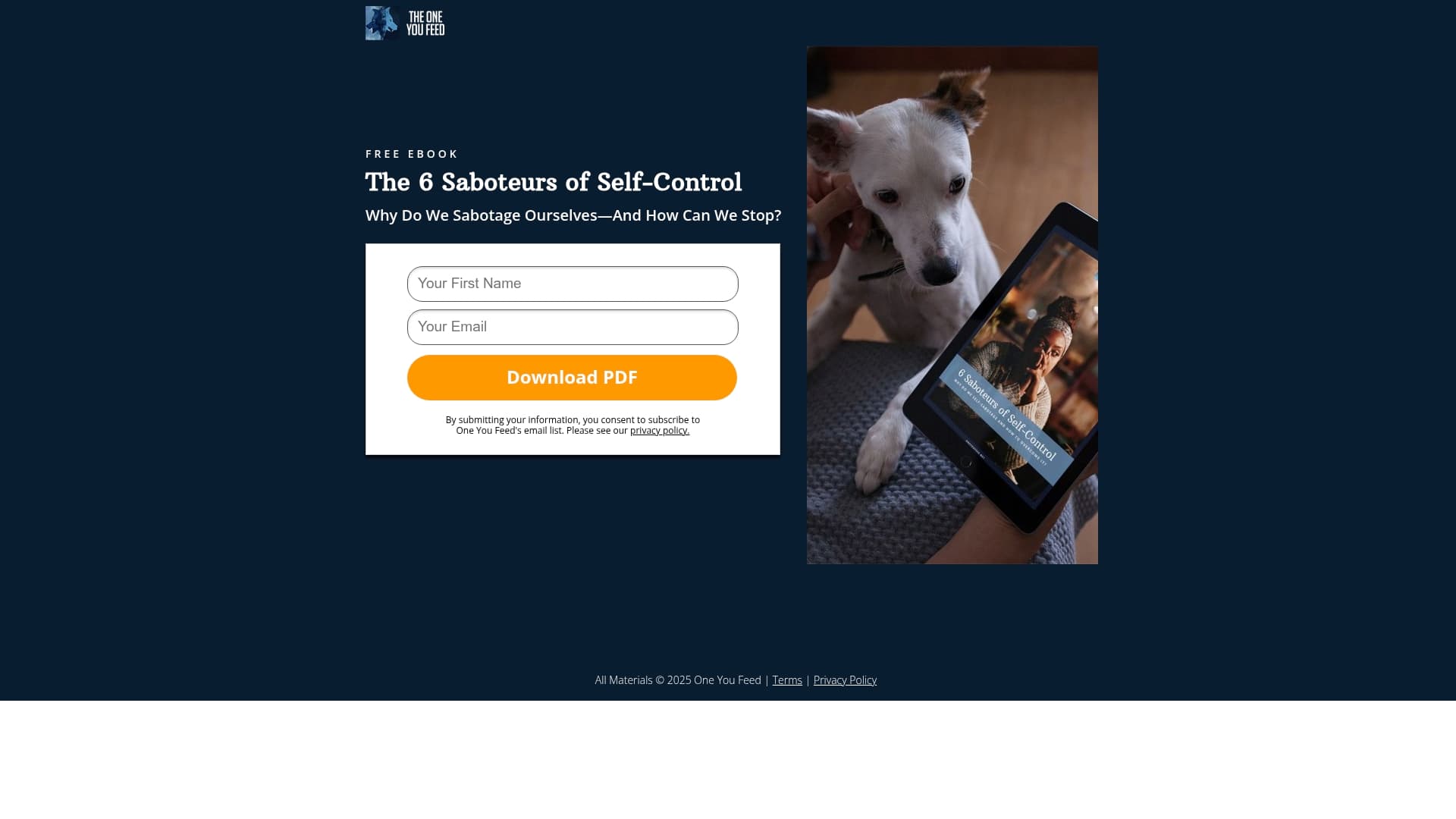 The One You Feed sponsor landing page advertised on The One You Feed