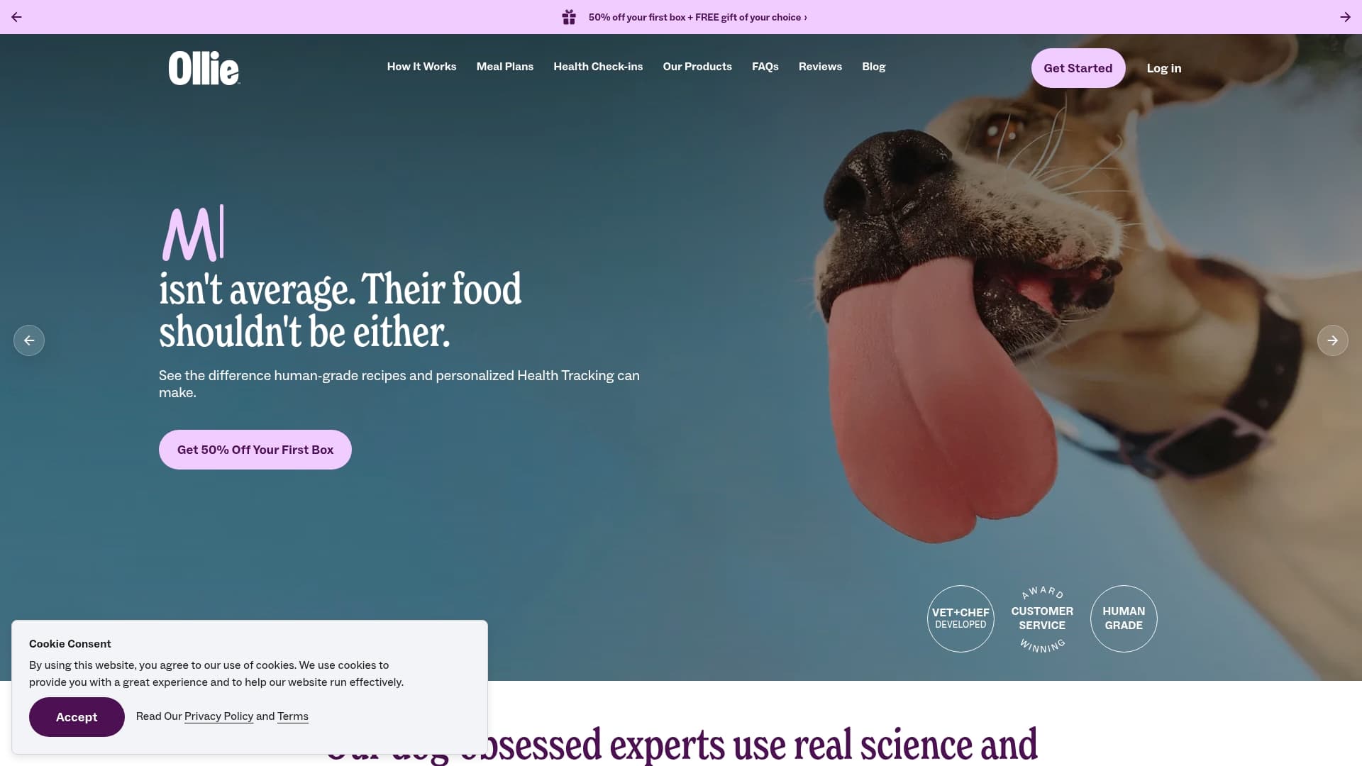 Ollie sponsor landing page advertised on The Viall Files