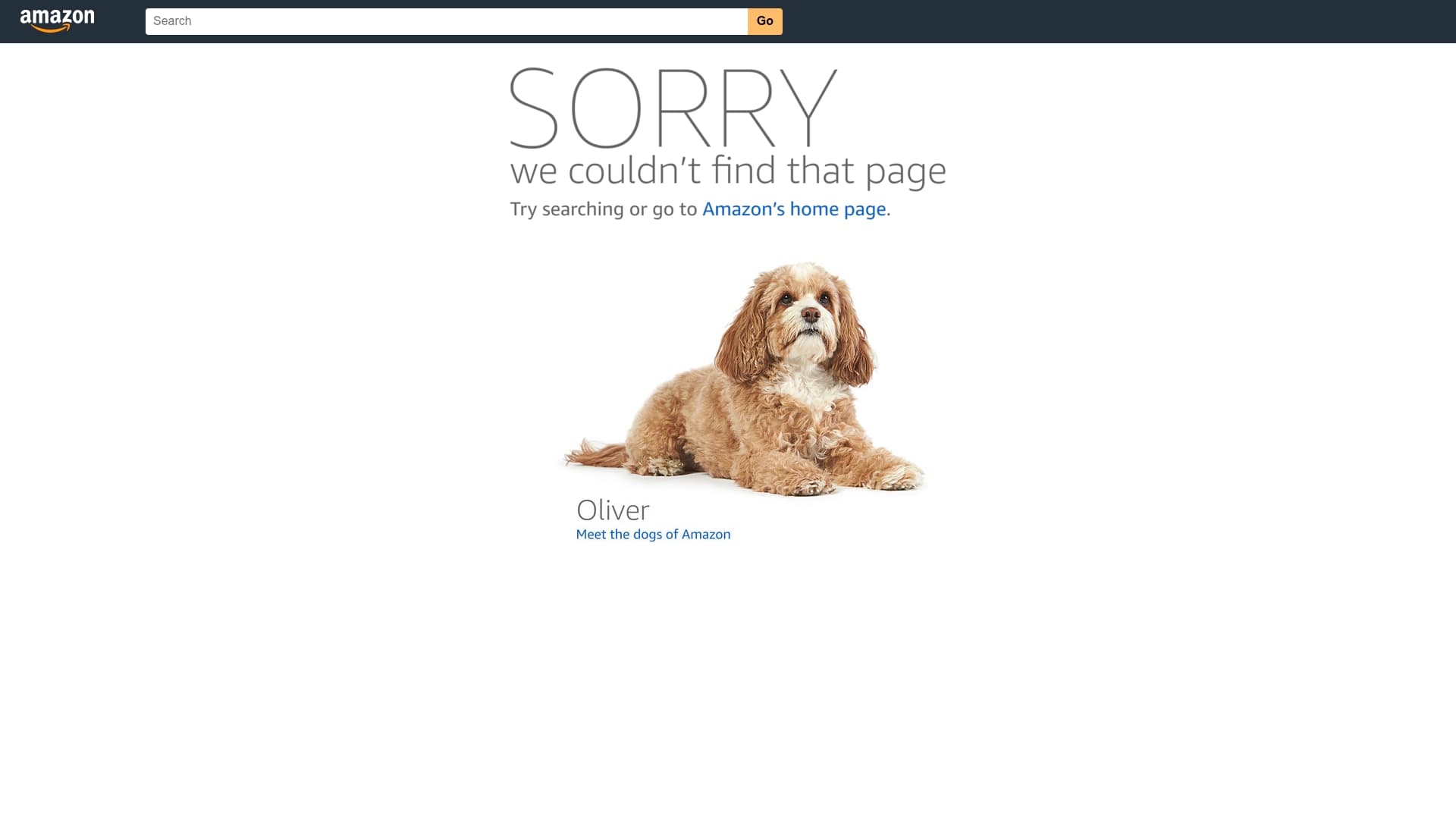 Amazon Prime sponsor landing page advertised on Prof G Markets