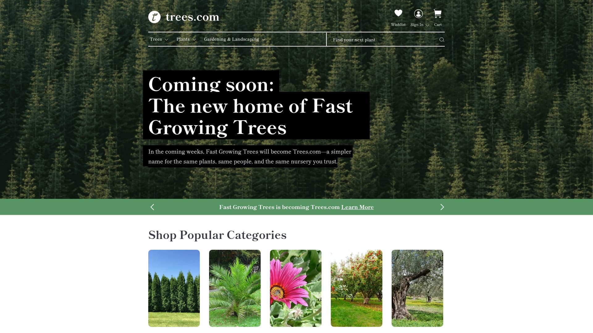 Trees.com sponsor landing page advertised on The President's Daily Brief